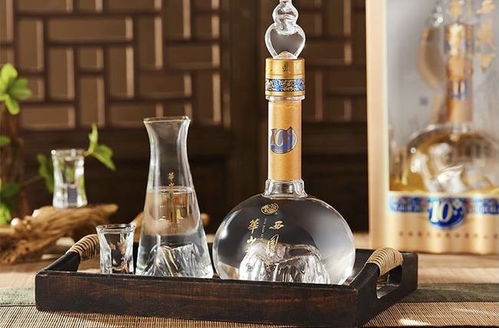 酒精飲料與酒駕 勾兌飲料算不算酒駕？